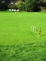 Lawn Croquet Hire